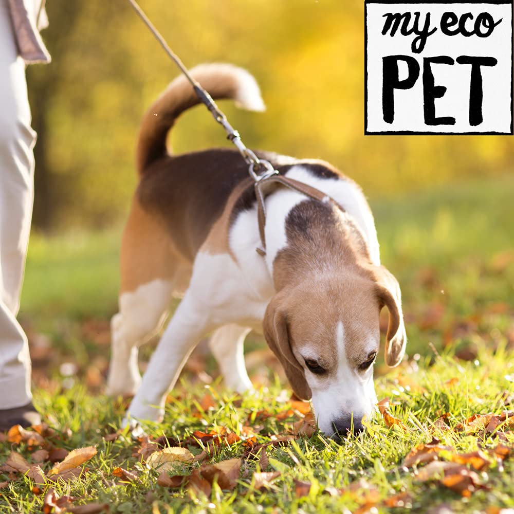 MyEcoPet® Compostable Dog Waste Bags - 200 Count Roll | Biodegradable, Eco-Friendly Pet Poop Bags for Dogs | Perfect for Park Walks, Backyard Cleanup & Travel Use