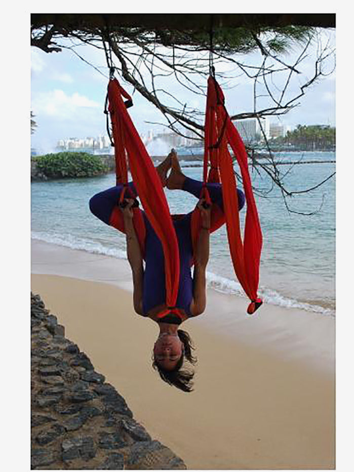 Aerial Yoga Swing for Home & Studio - Anti-Gravity Yoga Hammock with Heavy Duty Straps - Perfect for Yoga, Pilates, and Fitness Training