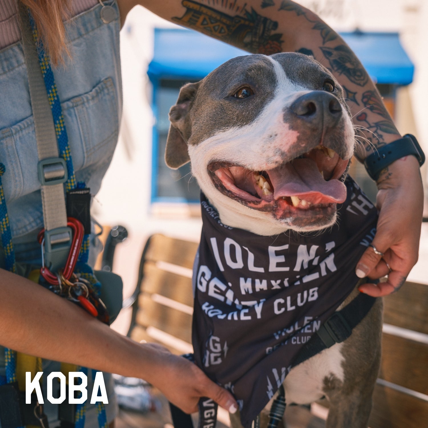 Premium Dog Bandana - Customizable Pet Bandana for Dogs & Cats - Perfect for Pet Grooming, Photos & Special Occasions
