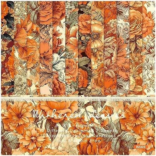 Orange - 48 Sheets