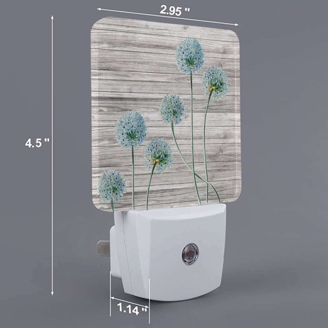 LED Night Light Plug in with Dusk to Dawn Sensor - Wood Grain Dandelion Design for Kids Room, Nursery, Bathroom, Hallway & Stairs | Energy Efficient Decorative Lighting for Home Safety & Comfort