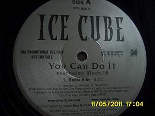 You Can Do It Motivational Vinyl Record - Perfect for Home Decor, Office Inspiration & Gift Giving