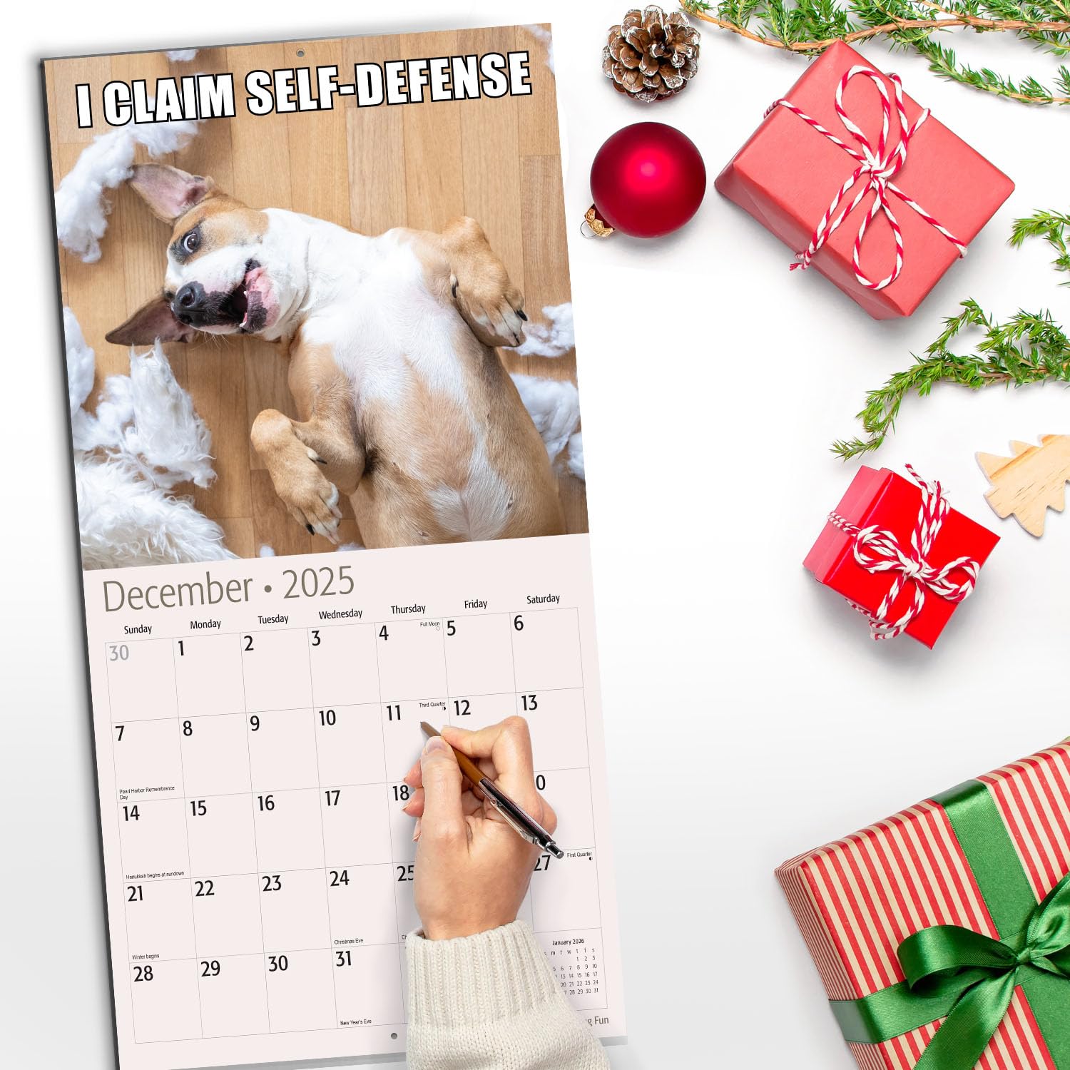 RED EMBER Dogs Having Fun 2025 Wall Calendar - 12 Month Large 12x24 Inch with Thick Sturdy Paper - Perfect Gift for Dog Lovers & Home Office Decor