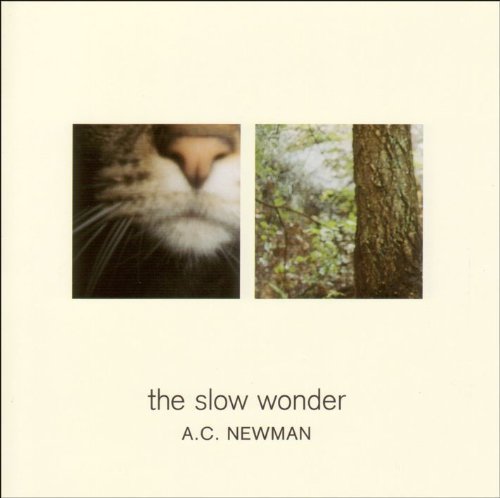 Slow Wonder by A.C. Newman - Indie Rock Music Album | Vinyl & Digital Download | Perfect for Relaxing Evenings & Road Trips