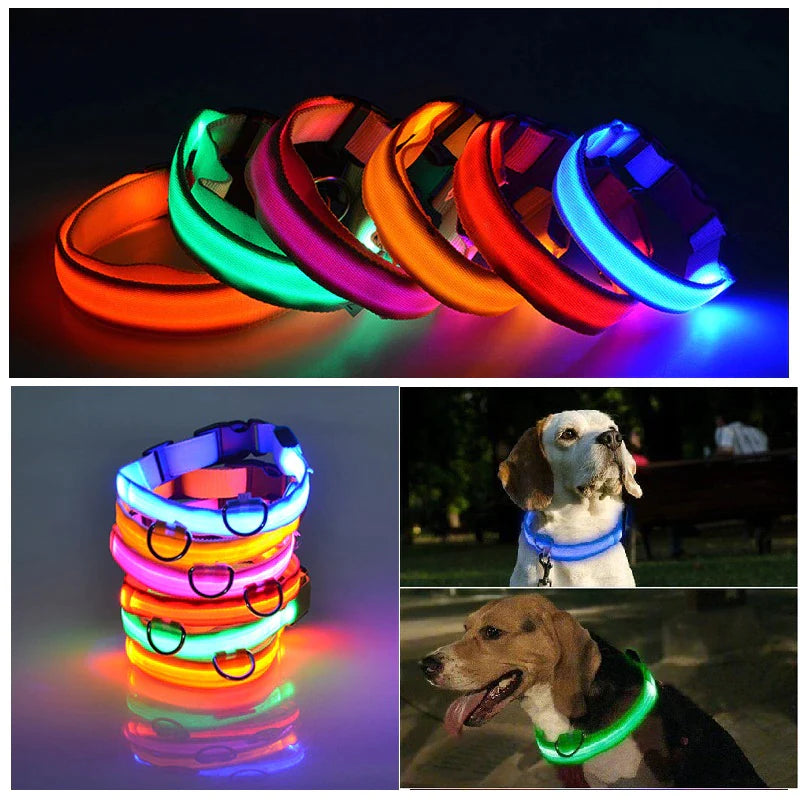 Waterproof LED Adjustable Dog Collar with Blinking & Flashing Lights - Glow Pet Safety Collar for Night Walks, Jogging & Outdoor Adventures