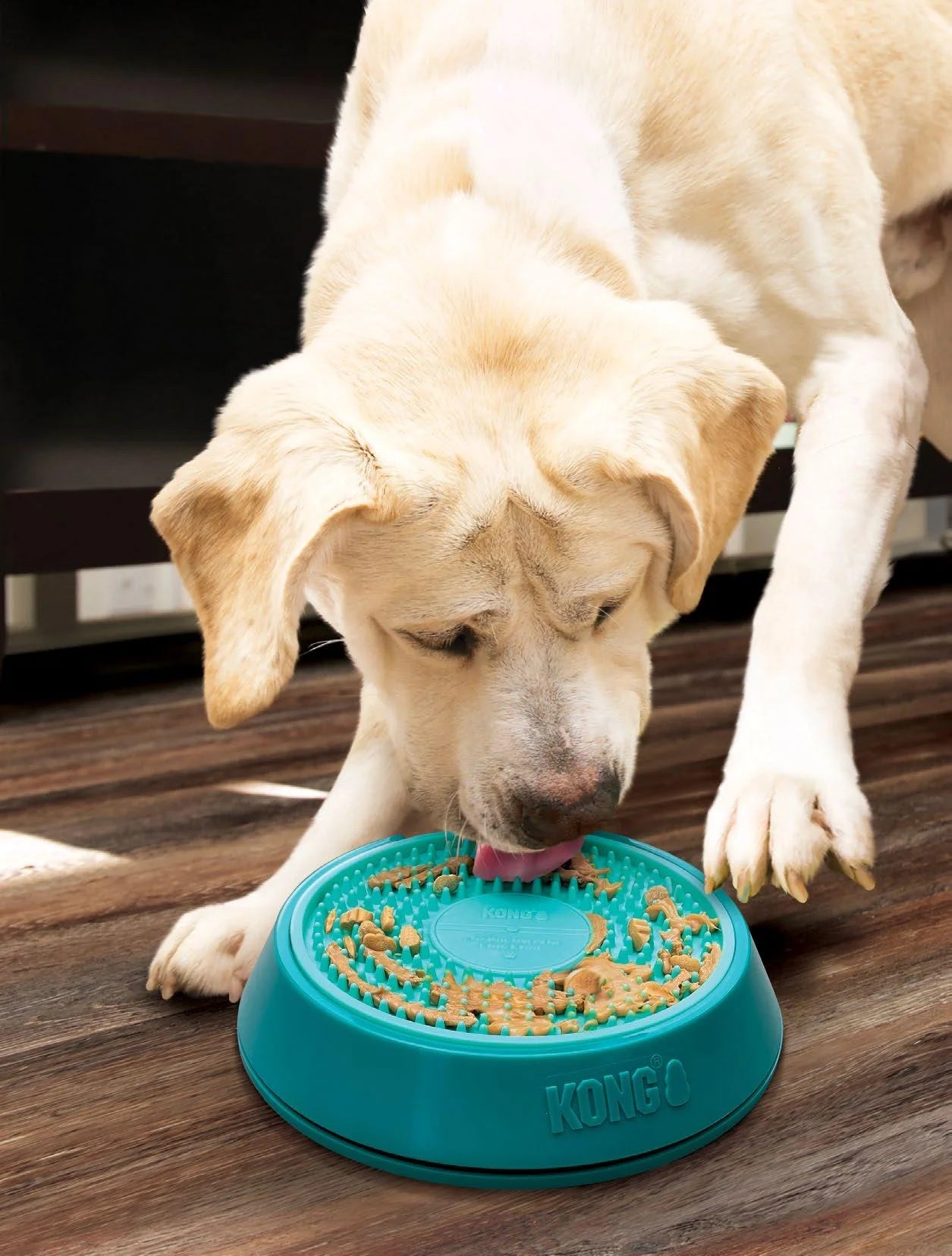 Licks Spinz Rotating Plate with Spinning Disc - Fun Interactive Pet Toy for Dogs & Cats - Perfect for Training, Playtime, and Mental Stimulation