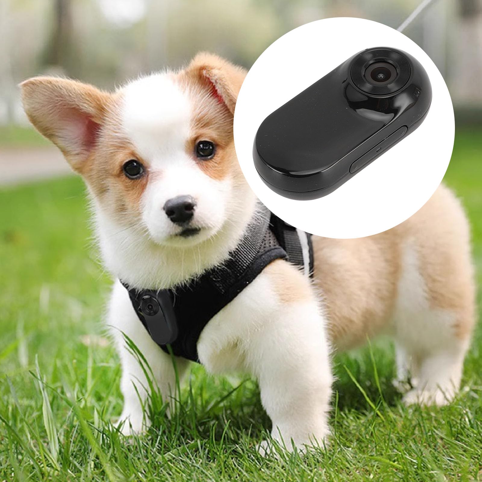 1080P HD Cat Camera Collar - Waterproof Pet Collar Camera with Anti-Shake, First Person View for Dogs & Cats - Ideal for Indoor/Outdoor Adventures, Hiking & Training (Black)