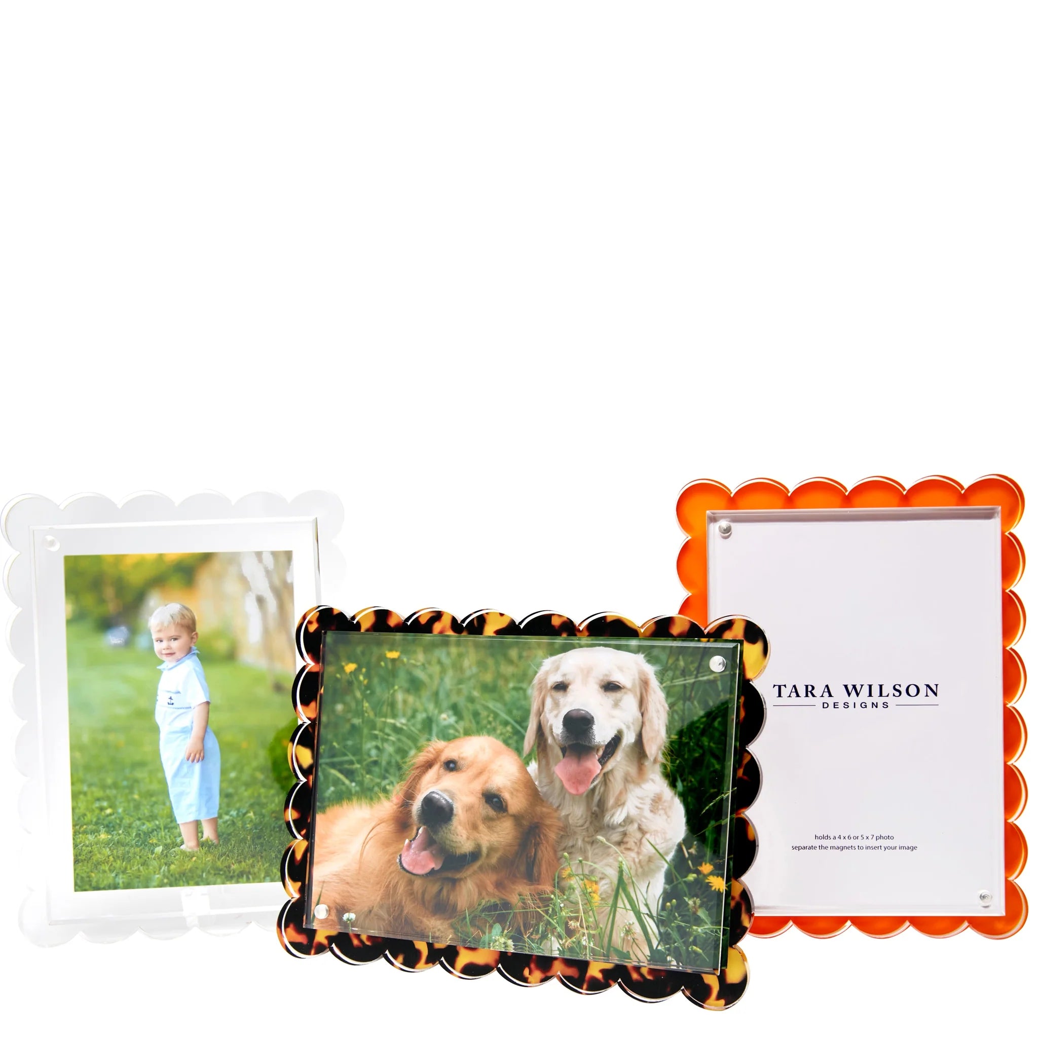 Tara Wilson Designs Clear Scallop Frame - Elegant Acrylic Photo Display for Wall Decor, Wedding, Home & Office - Perfect for Showcasing 4x6 Pictures, Memories and Artwork