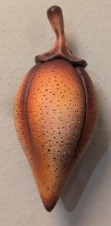 Andy Rogers Ceramics - Medium Wall Seed Planter #AR48 | Handmade Ceramic Pot for Indoor Plants, Succulents & Herbs | Perfect for Home Decor, Kitchen Windowsill & Office Desk