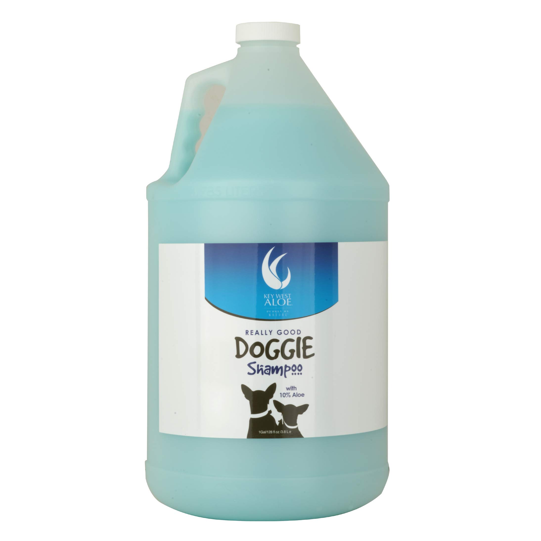 Key West Aloe Dog Shampoo for Sensitive Skin & Bath Time