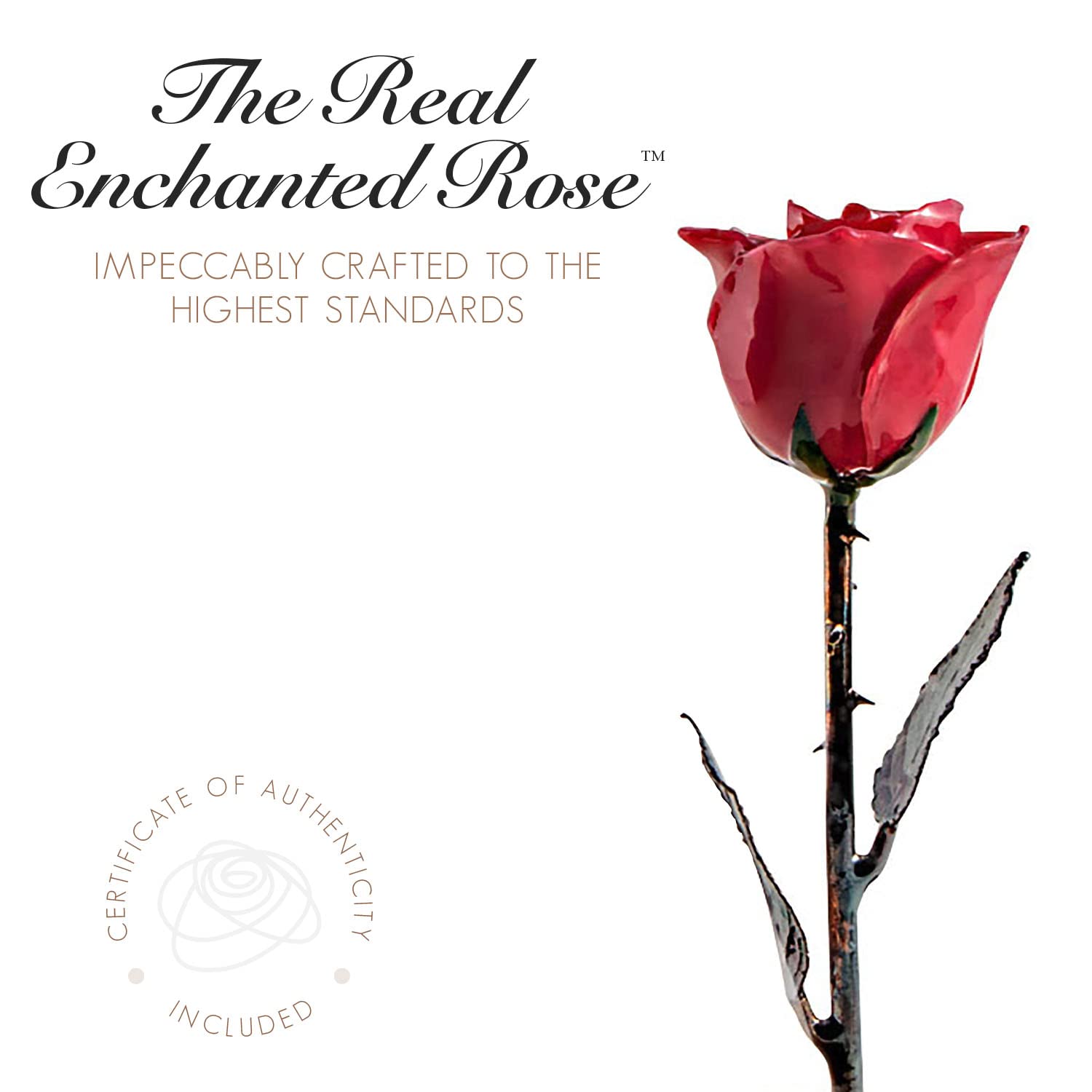Forever Rose in Glass Dome - Beauty & The Beast Inspired Preserved Rose with Hand Engraving & Copper Stem | Romantic Gift for Women, Anniversary, Valentine's Day, Wedding Decor
