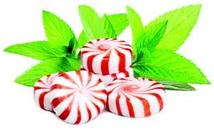 Mint Infused