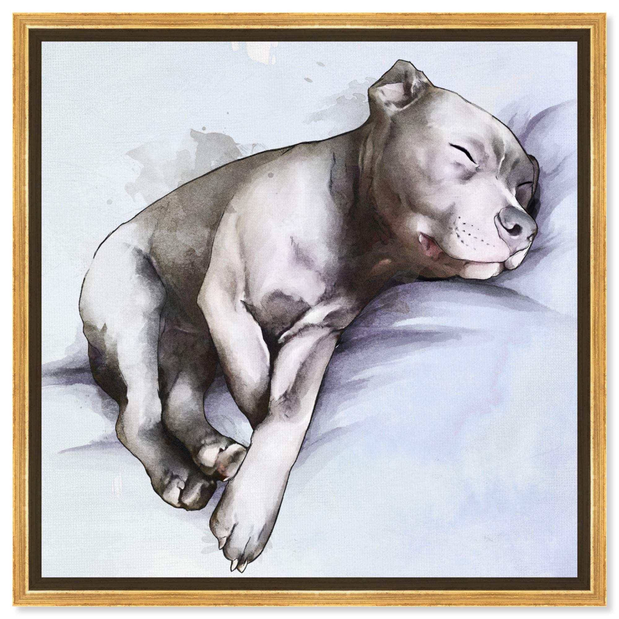 Sleeping Pitbull Framed Wall Art Canvas Print - 16x16 Inches, Gray & Blue - Modern Dog & Puppy Home Décor for Living Room, Bedroom, or Office