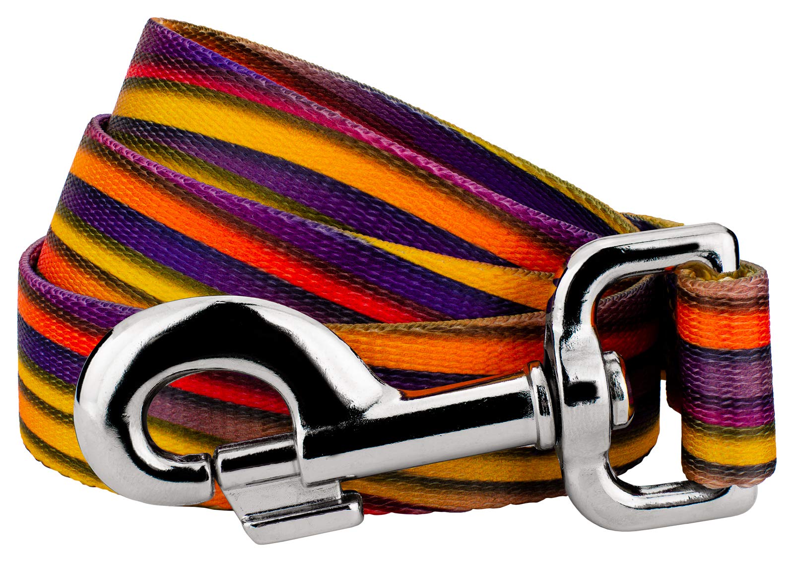 Country Brook Petz - Durable Dog Leash for Small & Large Dogs - Reflective & Adjustable Nylon Pet Leash - Groovy Collection - Perfect for Walking, Running & Outdoor Adventures