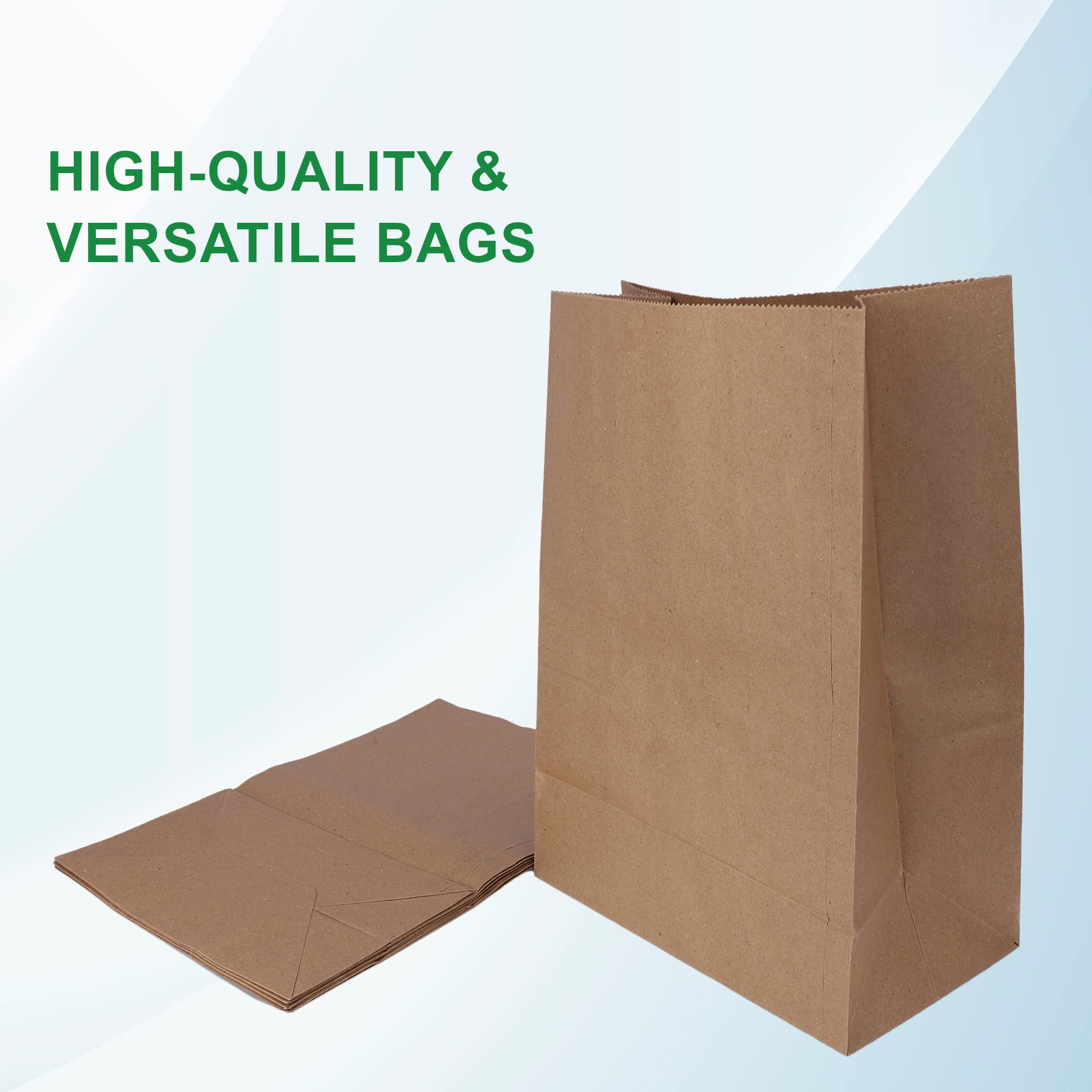 Eco-Friendly Brown Kraft Paper Bags - 10x5x14 Inches, Pack of 15 | Recycled Carry/Gift/Grocery Bags for Shopping, Parties & Sustainable Packaging