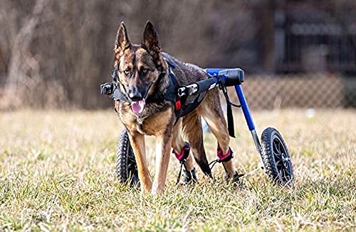 Maximus Roller Skates Dog Boots - Protective Paw Shoes for Knuckling & Dragging - Wheelchair Accessory (Blue, 3 Inch) - Perfect for Injured Pets & Mobility Support