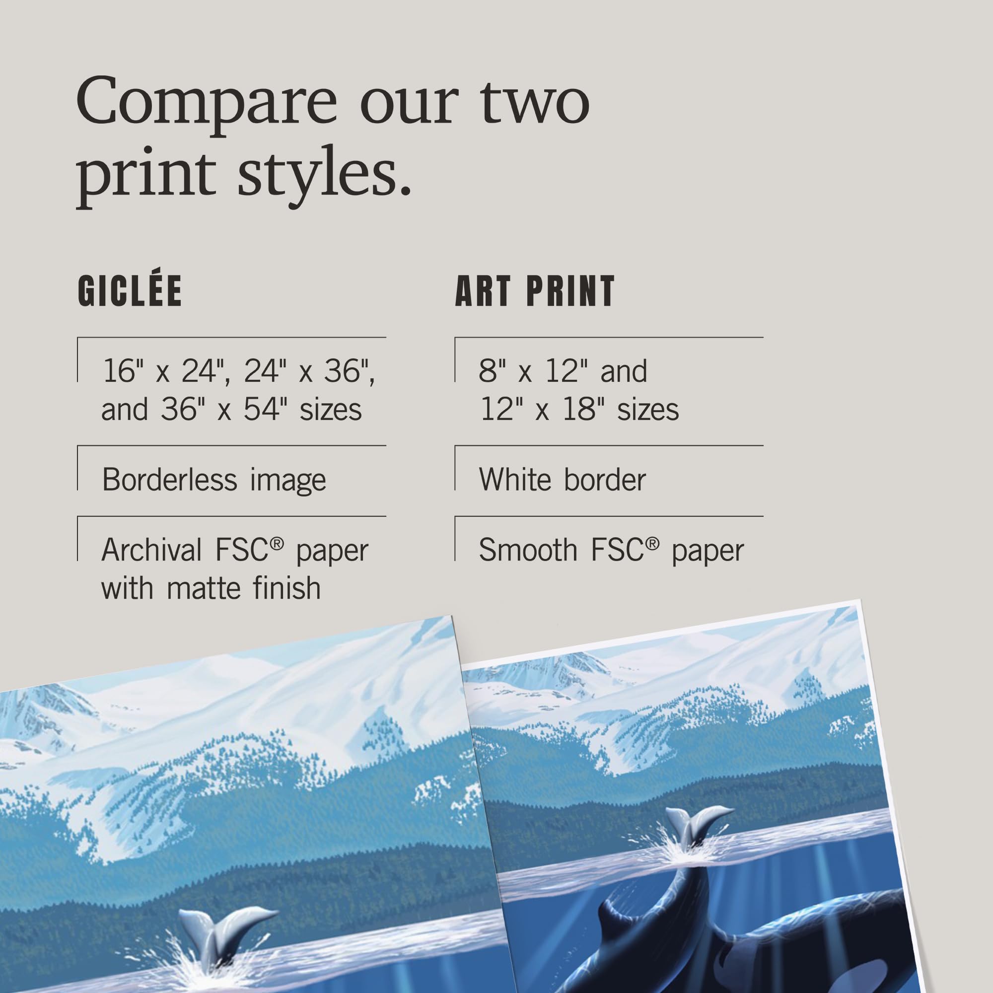 Lantern Press 16x24 Inch Giclee Print - Alaska Orca and Calf Wall Art - Perfect for Living Room, Bedroom or Office Decor
