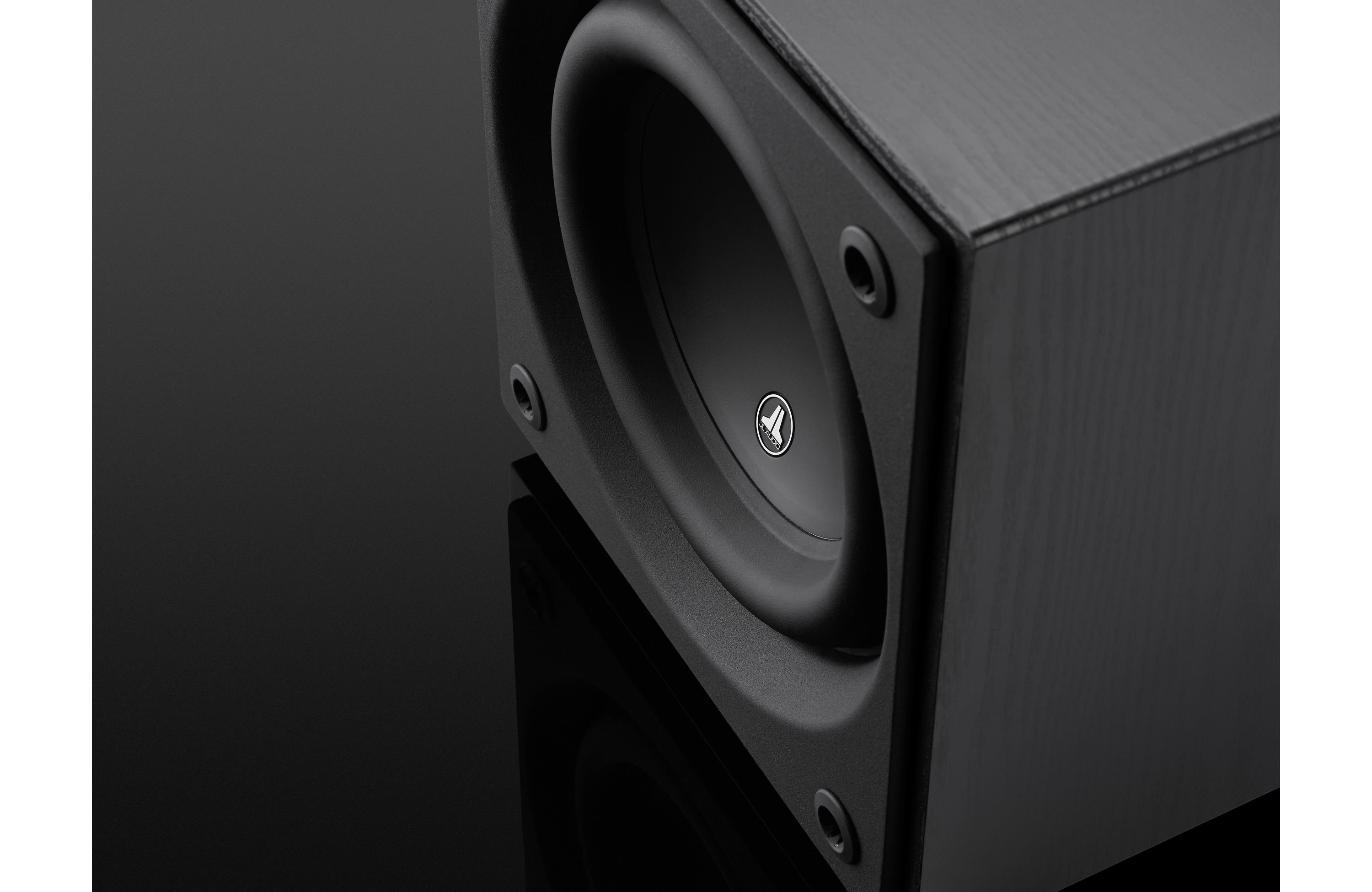 JL Audio D110 ASH Dominion 10