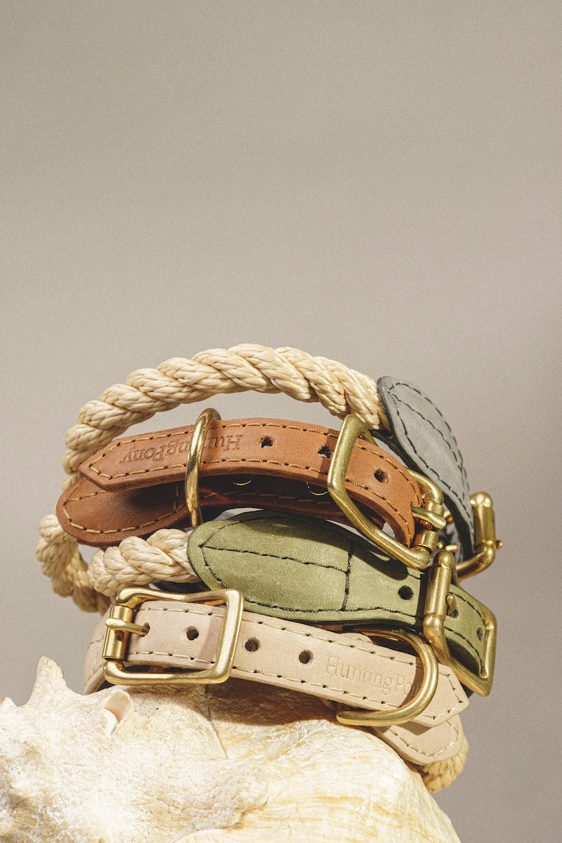 Premium Dog Collar with Pony Ginger Design - Durable & Stylish Pet Accessory for Walking, Training, and Outdoor Adventures