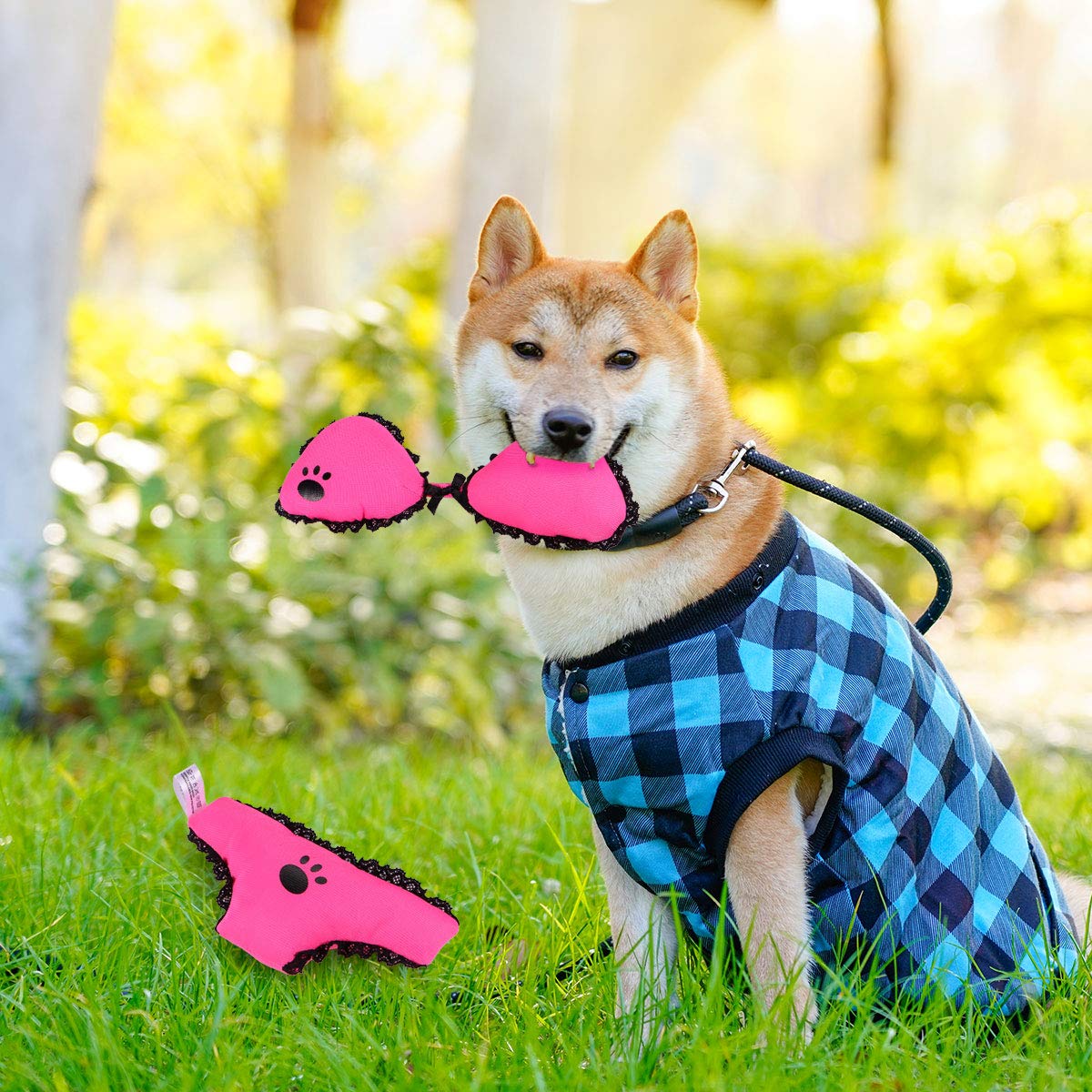 2pcs Dog Bikini Plush Toy with Squeaker & Crinkle Sound - Interactive Pet Chew Toy for Puppy Teething, Training & Play - Fun Dog & Cat Toys for Indoor/Outdoor Playtime & Bonding