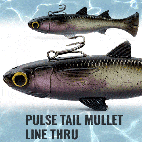 Savage Gear Pulse Tail Mullet Line Thru Fishing Lure 8 Inch - Saltwater & Freshwater Bait for Bass, Pike, and Muskie - Perfect for Kayak and Shore Fishing