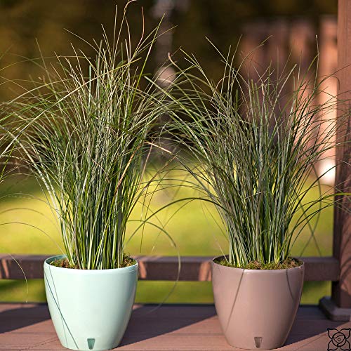 **Santino 8.8 Inch Self-Watering Plant Pots (Set of 3) - Decorative Indoor Flower Pots with Water Level Indicator & Drainage for Houseplants, Herbs, Succulents - Perfect for Home, Office, and Garden Decor**
