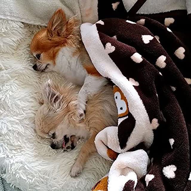 Original Snuggle Puppy Essentials Starter Kit - Heartbeat Dog Toy & Calming Aid with 3 Heat Packs, Puppy Teething Chew Toy & Soft Dog Blanket | Perfect for New Puppies, Separation Anxiety Relief & Crate Training Comfort