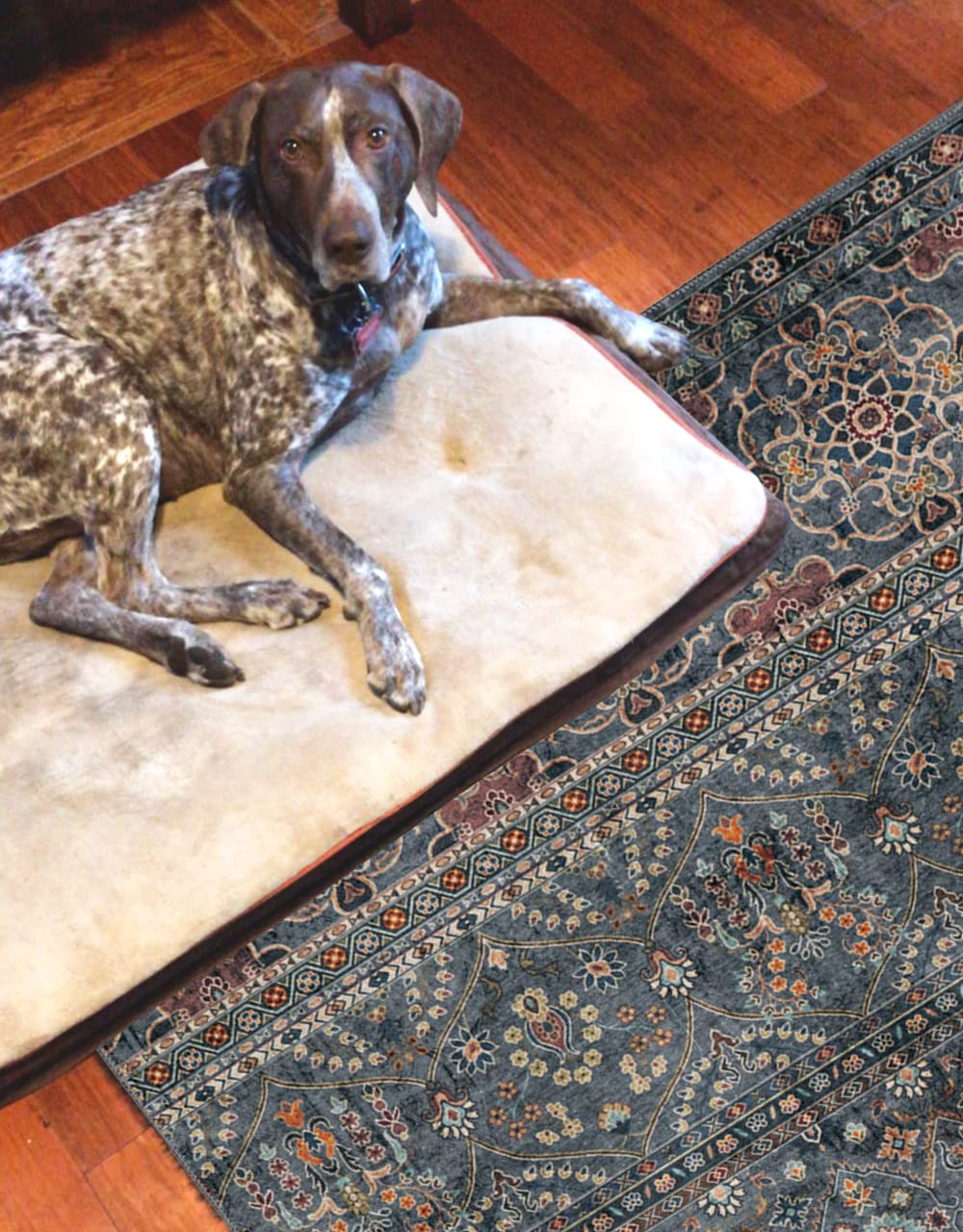 Linon Washable Area Rug 5' x 7' - Jasper Teal & Ivory Indoor/Outdoor Rug - Soft Non-Slip Floor Mat for Living Room, Bedroom, Patio & Office Decor