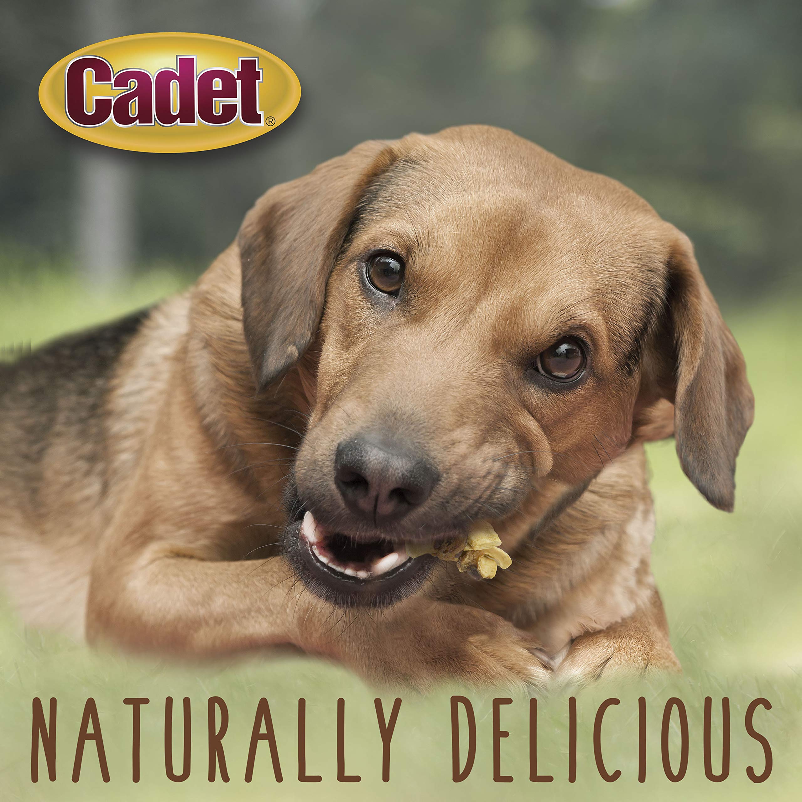 Cadet Gourmet Chicken & Apple Wrapped Dog Treats - Healthy Natural Training Snacks for Small & Large Breed Dogs - USA Inspected & Tested (14 oz) - Perfect for Reward Training, Travel & Daily Treats