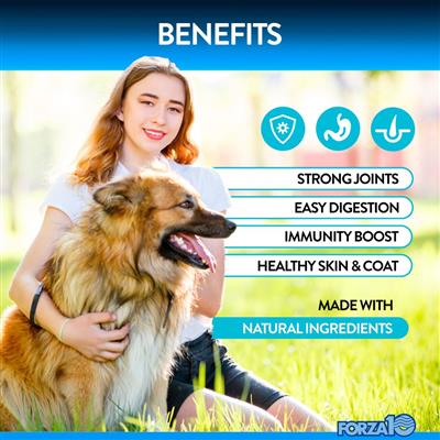 Forza10 Multifunctional Dog Supplement Chews - Supports Joint Health, Digestion & Immunity - Ideal for Active Dogs & Senior Pets