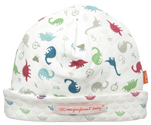 Dino Expedition