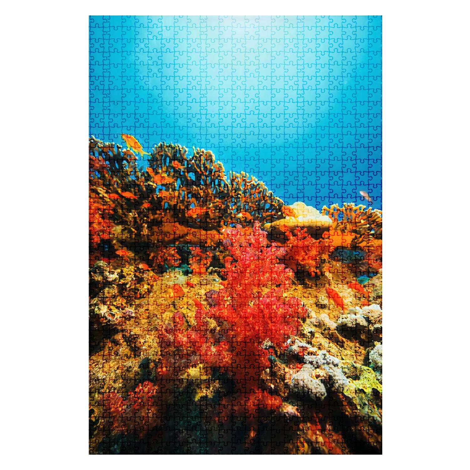 1000 Pieces Wooden Jigsaw Puzzle - Coral Reef Sea Life Underwater Photography Puzzle for Adults & Kids | Fun Challenging DIY Educational Board Game Toy | Home Decor Gift for Ocean Lovers | Perfect for Family Game Nights & Classroom Activities