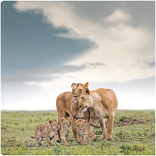 Lioness Bonding