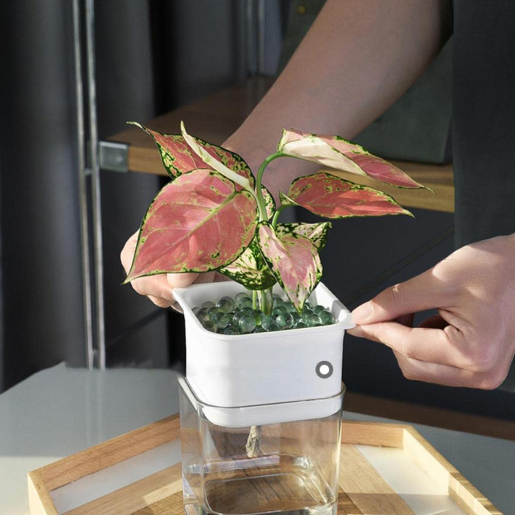 Transparent Self-Watering Square Planter - Modern Flower Pot for Indoor Plants, Succulents & Herbs | Perfect for Home, Office, Balcony & Desk Decor | Auto Water Absorption System for Easy Plant Care