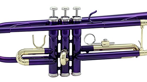 Sky Band Approved Orchid Purple Lacquer Brass Bb Trumpet with Case, Cleaning Cloth, Gloves & Valve Oil - Professional Brass Instrument for Beginners & Students - Perfect for School Bands, Jazz Ensembles & Solo Performances