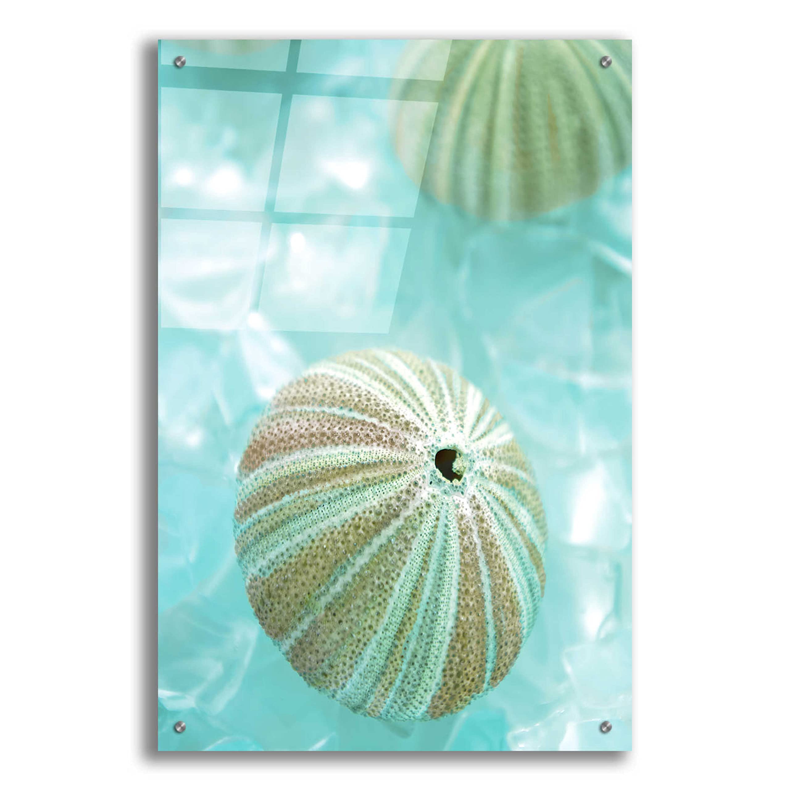 Alan Blaustein 'Seaglass 4' Acrylic Glass Wall Art - 24x36 Inches Modern Ocean-Themed Painting for Living Room, Bedroom & Office Decor