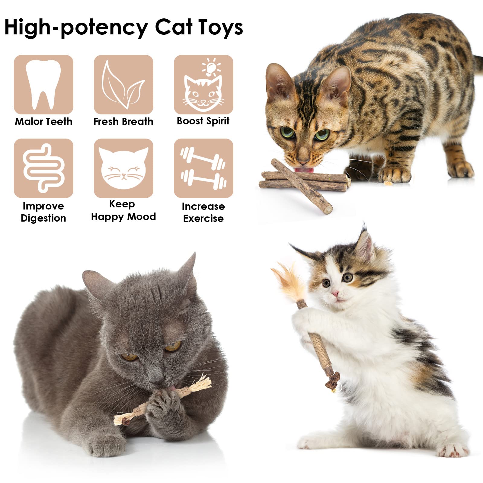 10 PCS Silvervine Cat Chew Sticks with Catnip - Natural Dental Care Toys for Indoor Kittens, Teeth Grinding & Interactive Play - Perfect for Aggressive Chewers & Feather Toy Lovers (Great for Stress Relief & Playtime)
