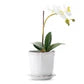 Juliska Berry & Thread 5-Inch Ceramic Planter - Elegant Floral Home Decor for Indoor Plants, Succulents, and Table Centerpieces | Perfect for Kitchen, Living Room, and Office Decor