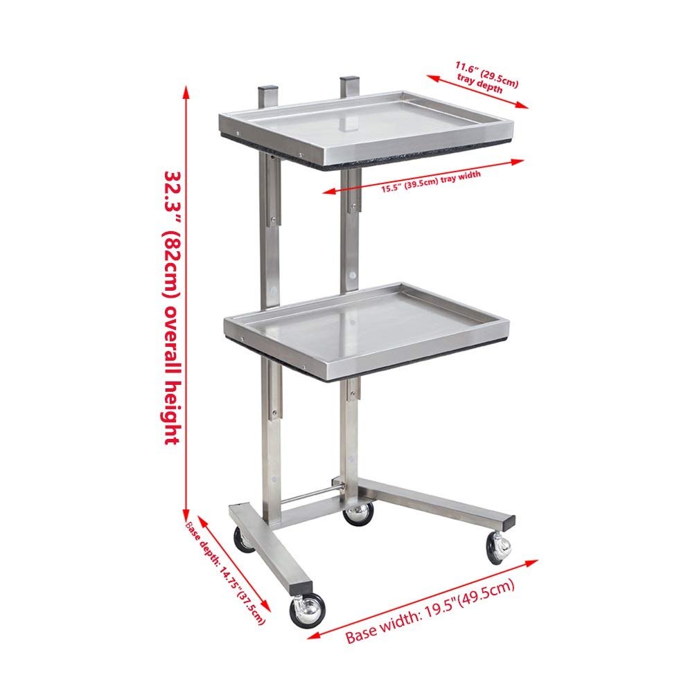Kaleurrier Rolling Tool Cart with Double Storage Tray - Stainless Steel Utility Trolley with Wheels for Salon, Tattoo, Spa, Clinic & Home Use | Portable Beauty & Medical Instrument Stand (Silver) | Perfect for Organizing Tools in Professional Studios or Home Workspaces