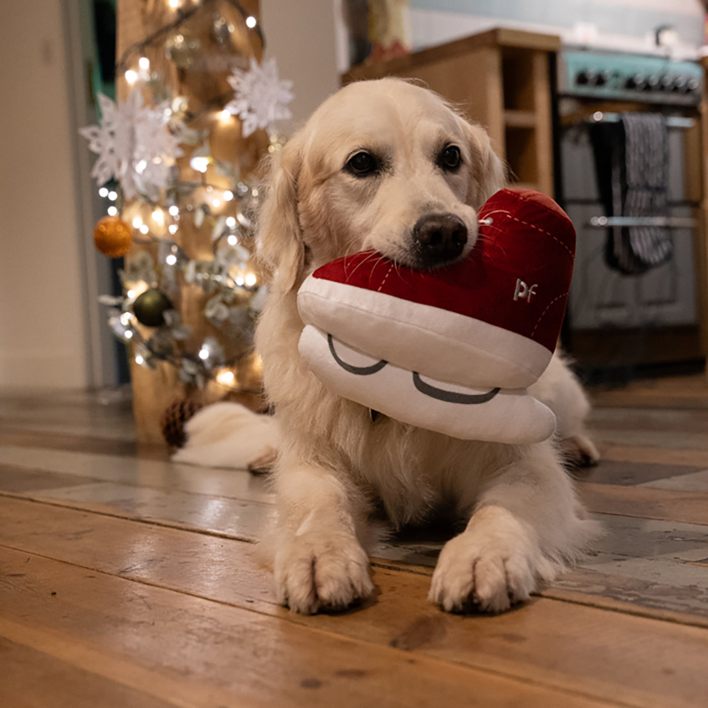 **Ivy Plush Christmas Dog Toy - Soft & Cute Ice Skate Chew Toy for Small & Medium Dogs - Perfect Holiday Gift for Pet Lovers**    *(Use Scenario: Great for Christmas stocking stuffers, holiday pet gifts, or playful chew sessions with your furry friend!)*