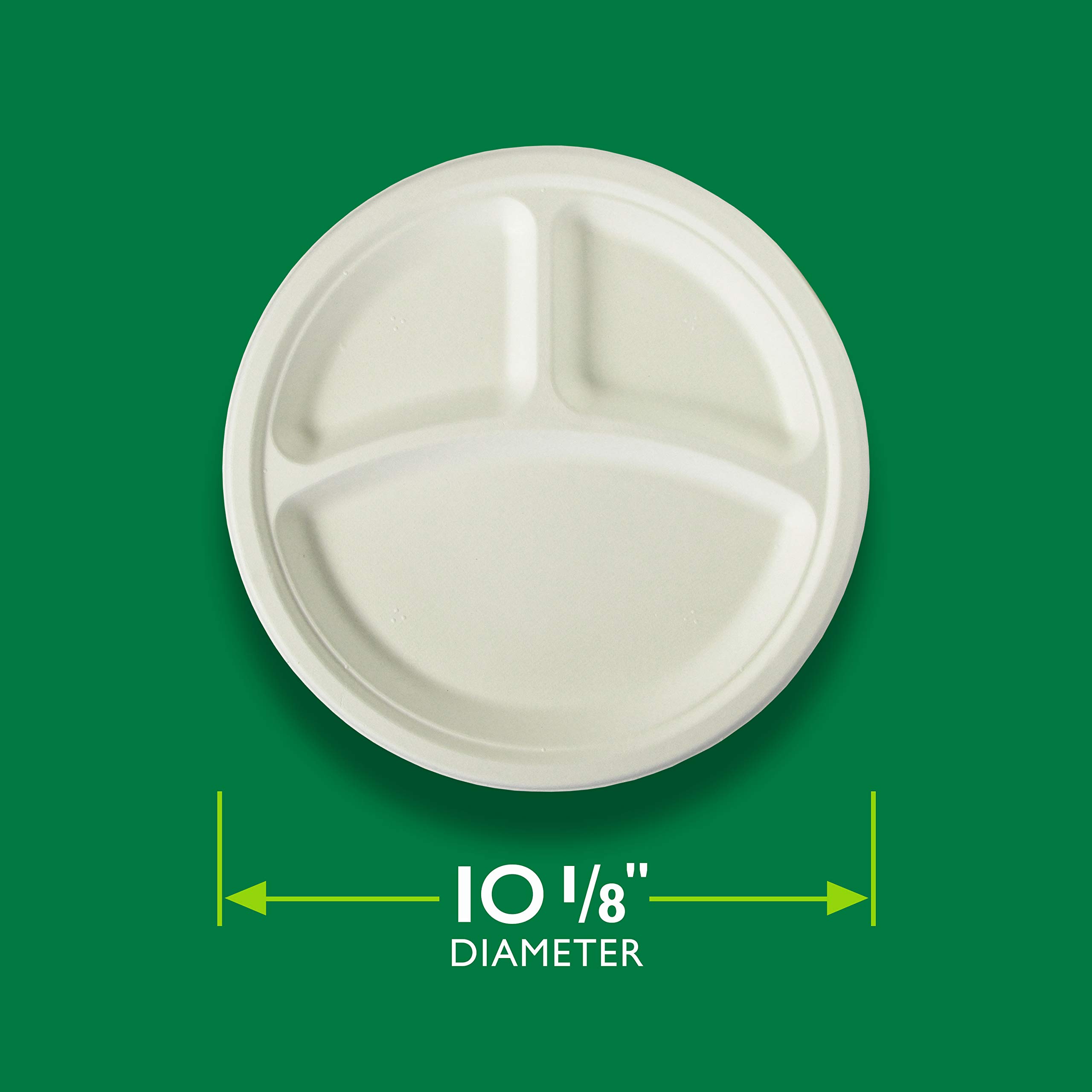 Eco-Friendly Heavy Duty Disposable Plates - 10 ⅛ Inch Plant-Based Compartment Plates, 16 Count (Pack of 4) - Perfect for Parties, Picnics & Eco-Conscious Gatherings