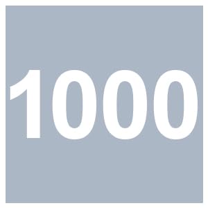 3.0 Grey 1000G