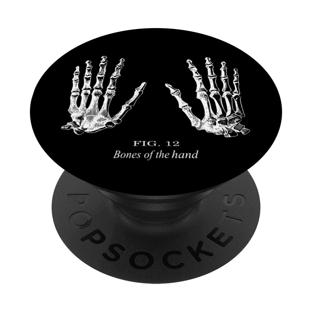 Human Hand Bones Anatomy Model - Medical Skeleton Hand for Students, Doctors & Science Education - Perfect for Classroom, Lab & Study Use