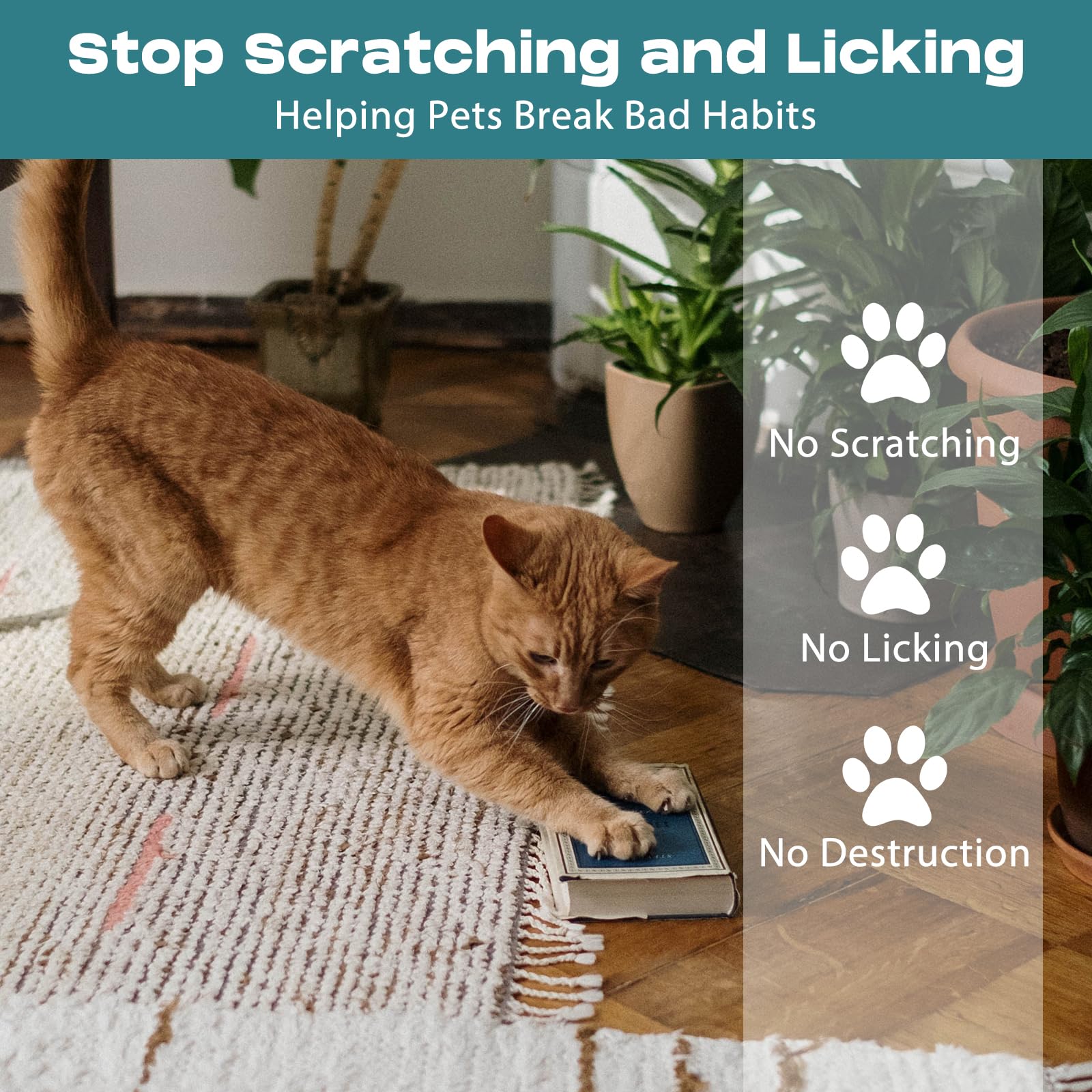 Natural Cat Repellent Spray - Indoor & Outdoor Cat Deterrent for Furniture Protection | Effective Training Aid to Stop Scratching on Sofas, Rugs, Curtains | Safe for Kittens & Cats | Perfect for Home, Garden & Pet Training