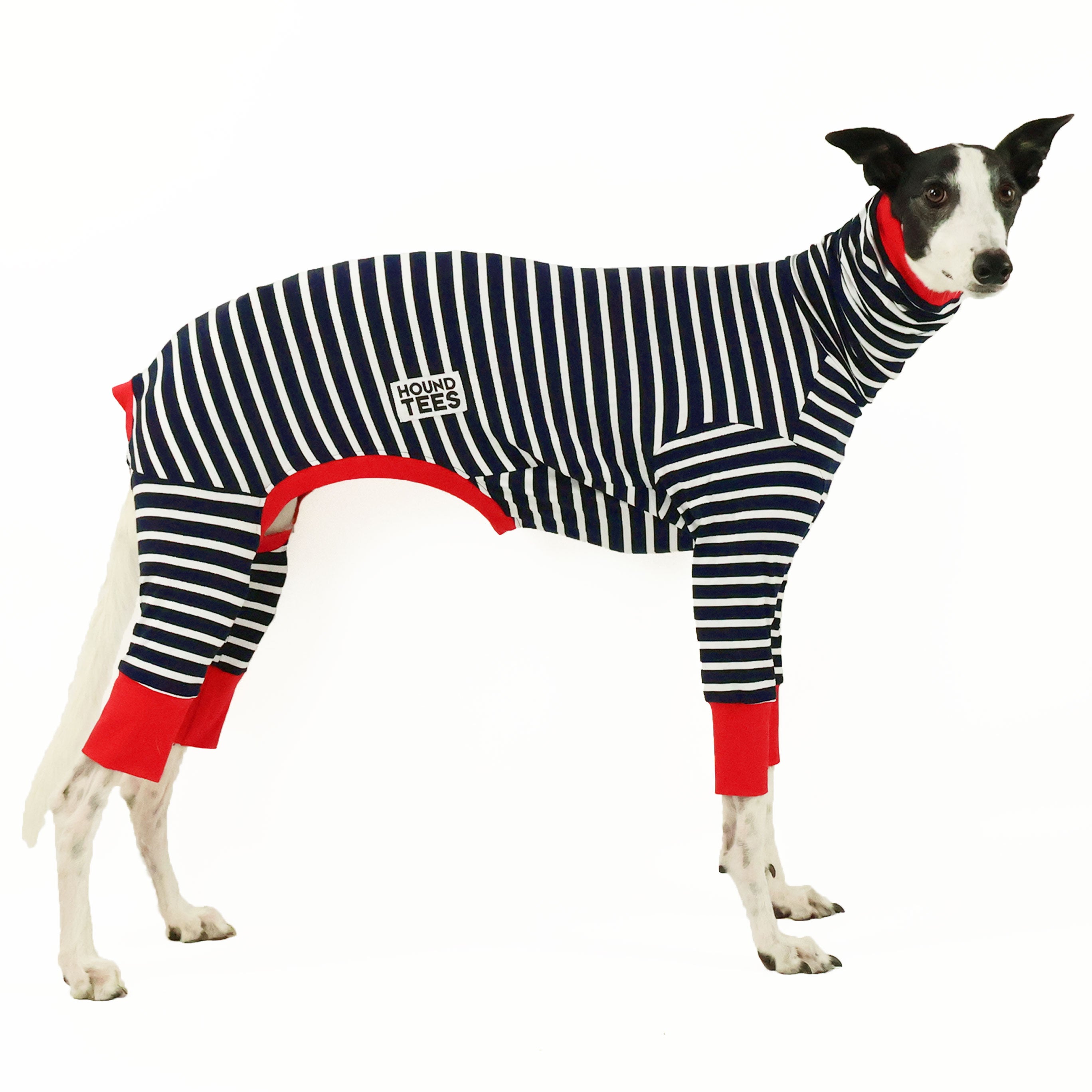 Aussie Greyhound Long Johns Hound Tee - Comfortable Dog T-Shirt for Greyhounds - Perfect for Walks, Photos & Indoor Lounging