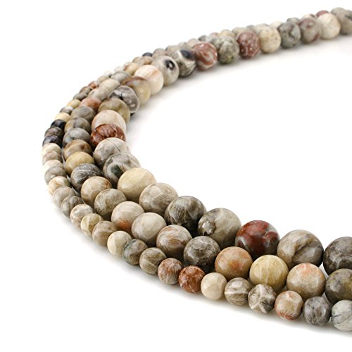 Bamboo Agate