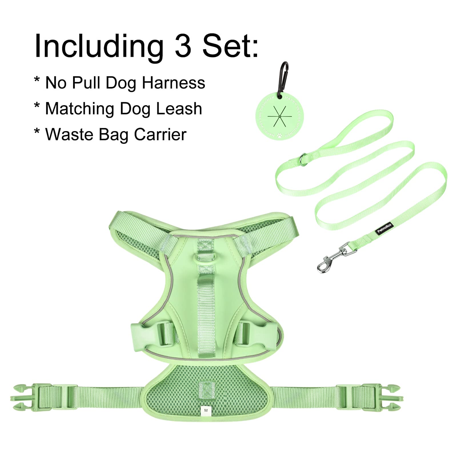 Petmolico Small Dog Harness - Cute Reflective Puppy Vest with 2 Leash Clips & Soft Handle for Easy Walking (Mint Green, Small) | Perfect for Daily Walks, Training & Outdoor Adventures