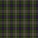 Davidson Tulloch Tartan Dress - Classic Scottish Plaid Dress for Women | Perfect for Celtic Festivals, Highland Games & Formal Occasions