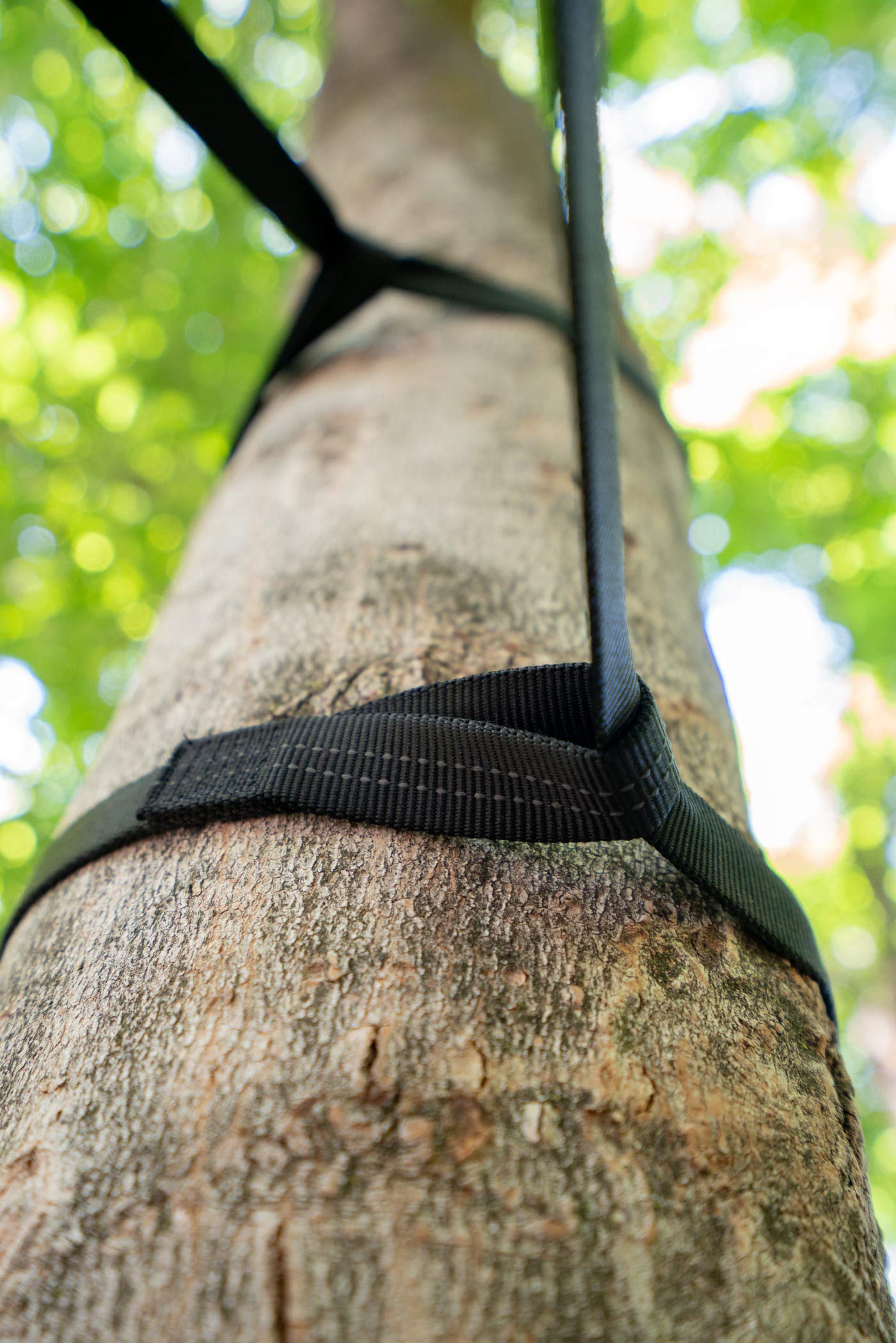 TETON Sports Rover Rope Tree Sling - Heavy-Duty Hammock Straps for Camping & Backpacking, Quick Setup No Knots Needed, Fits All Hammocks (Black) - Perfect for Outdoor Adventures, Hiking Trips and Relaxing in Nature