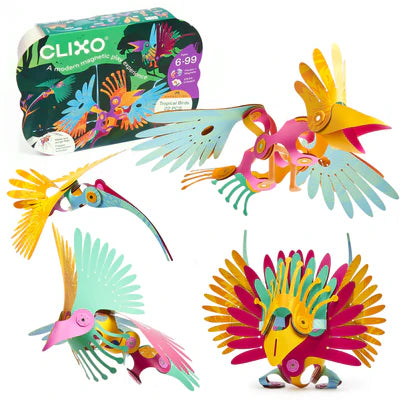 Clixo Magnetic Tropical Birds Building Toy Set - STEM Educational Construction Kit for Kids Ages 3-8 - Creative Play for Indoor & Outdoor Use - Perfect for Birthday Gifts & Classroom Activities
